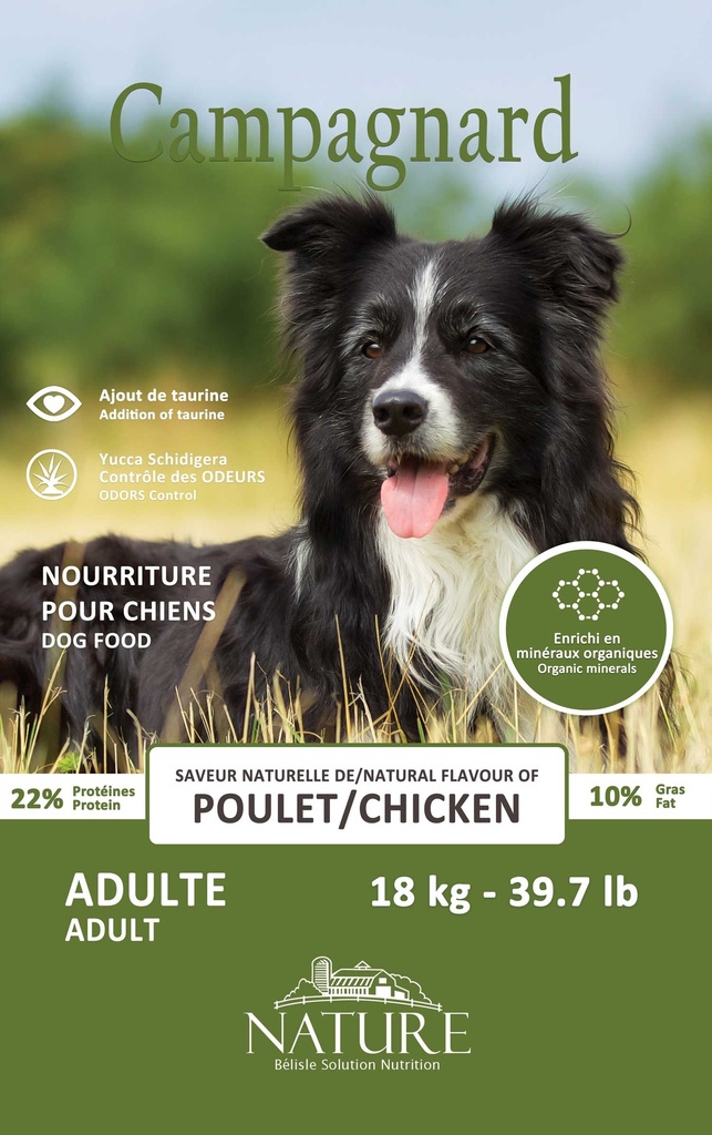 CHIEN CAMPAGNARD (18 KG)