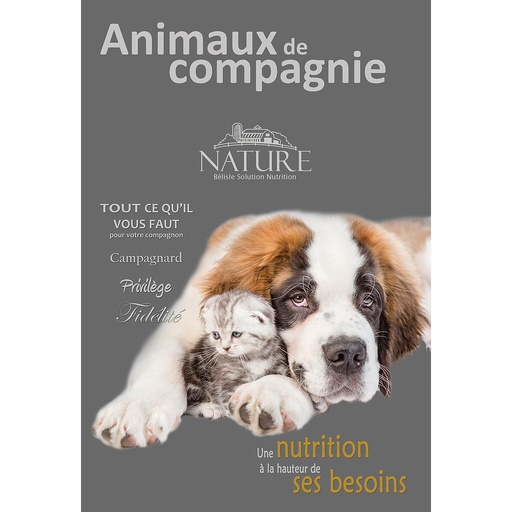[AF-ANIMCIE] AFFICHE ANIMAUX COMPAGNIE